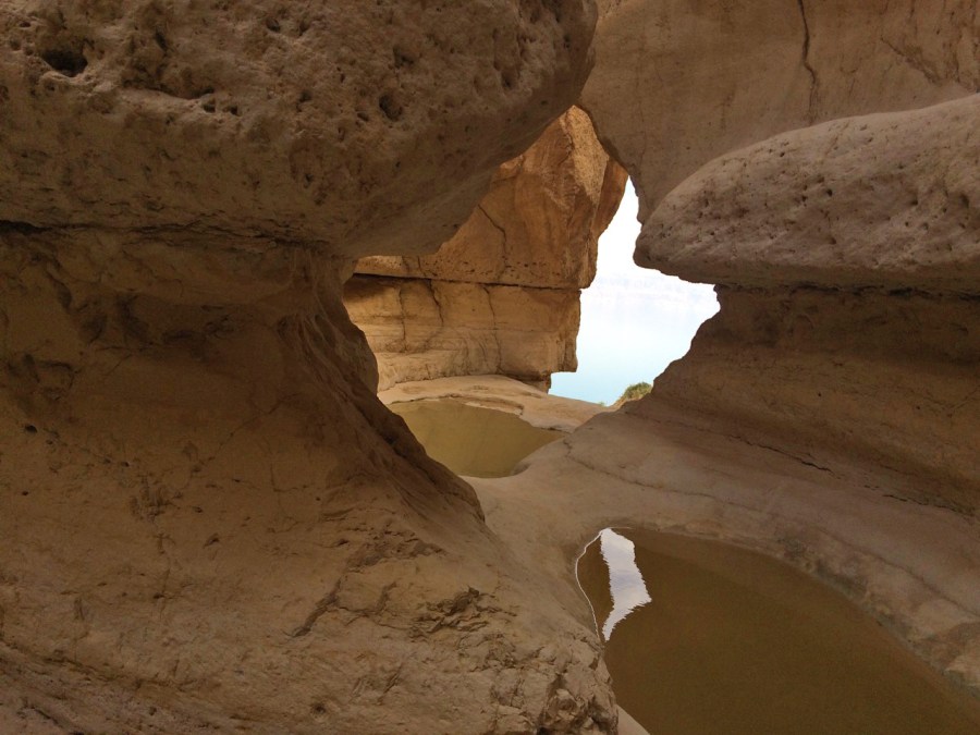 上图：当大卫提到「祢是我藏身之处」（诗三十二7）时，他可能会想到自己曾在隐·基底藏身的许多洞穴。隐·基底（En Gedi）是死海西侧的一处绿洲，从西边海拔200米的犹大旷野一直下降到东边海平面以下418米的死海，落差600多米。这个绿洲里有许多岩洞泉水，并有两条常年流淌的溪流，为众多动植物提供了死海附近非常难得的生存条件，自古就生存着许多植物（歌一14）、野山羊（撒上二十四2）、蹄兔和两百多种鸟类。大卫在躲避扫罗时，曾隐藏在隐·基底（撒上二十三29）。