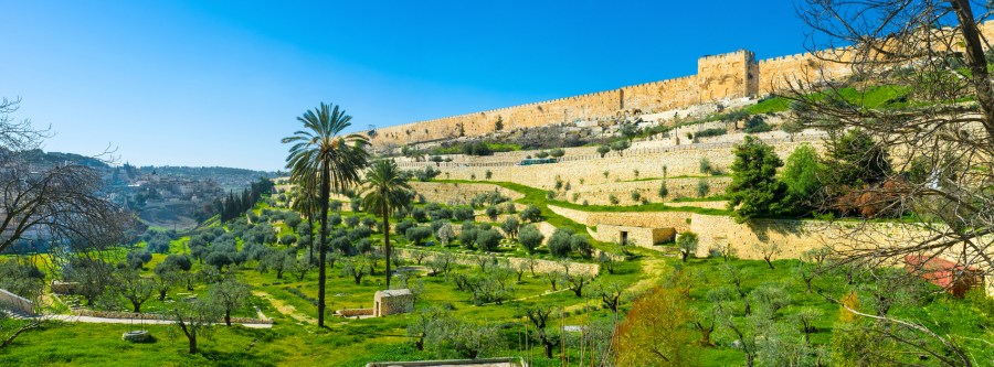 上图：耶路撒冷东面的汲沦溪谷。