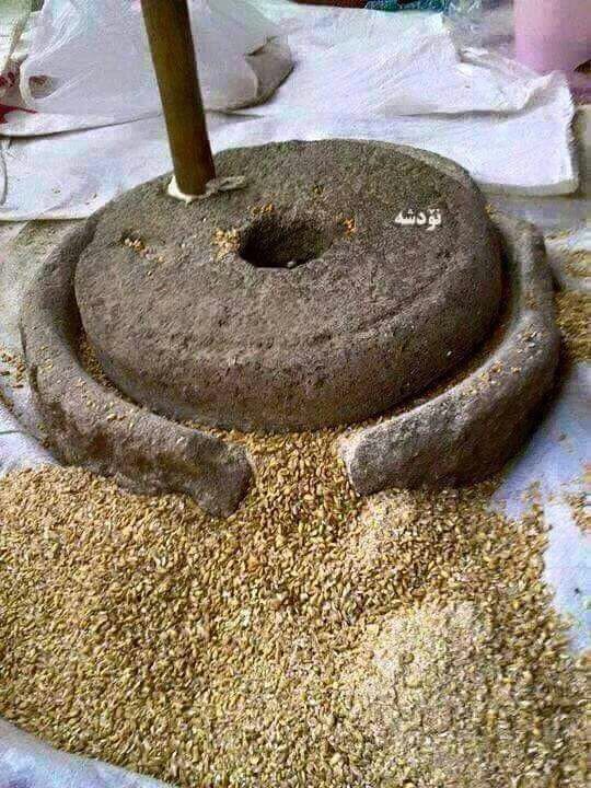 上图：古代以色列家用的磨石包括上下两块石头，通常用玄武岩制造。下磨石很重，谷粒放在上面平或微弯之处，以较轻的上磨石磨成面粉。一般人必须每天自己磨麦，如果拿磨石作为抵押品，他就不能做饭了。
