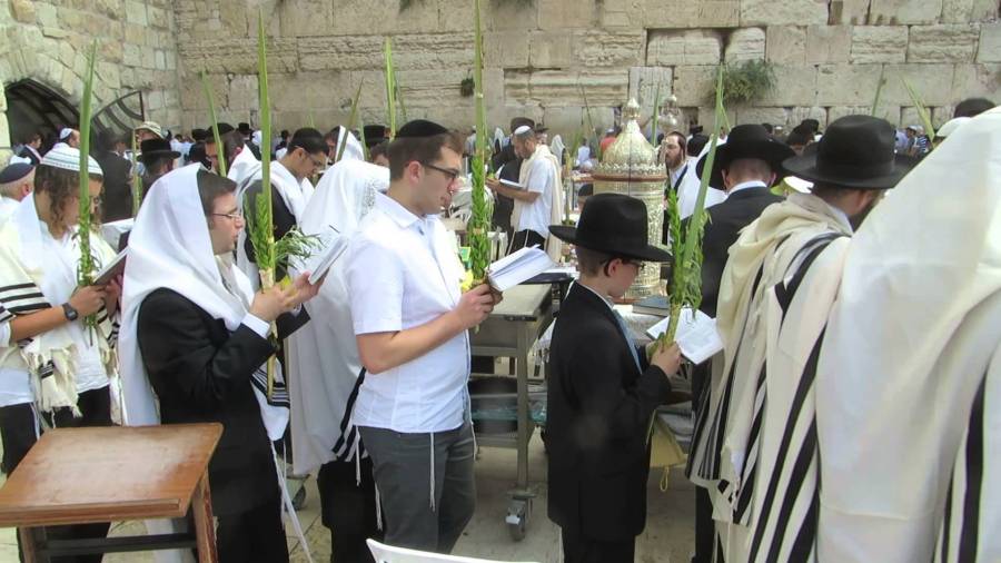 上图：正统犹太人住棚节举着棕树枝在西墙进行和散那（Hosanna）游行。棕树枝由四样植物组成：枣椰树（לולב，lulav）叶子、香桃木（הדס，hadass）枝条、柳树（ערבה，aravah）枝条和香橼（אתרוג，etrog）果实，前三种枝叶通常捆扎在一起。他们一边游行，一边诵读「耶和华啊，求祢拯救！」（即诗篇一百一十八25「和散那」）。主耶稣最后一次进耶路撒冷时，百姓正是「拿着棕树枝出去迎接他，喊着说：和散那！奉主名来的以色列王是应当称颂的」（约十二13）！