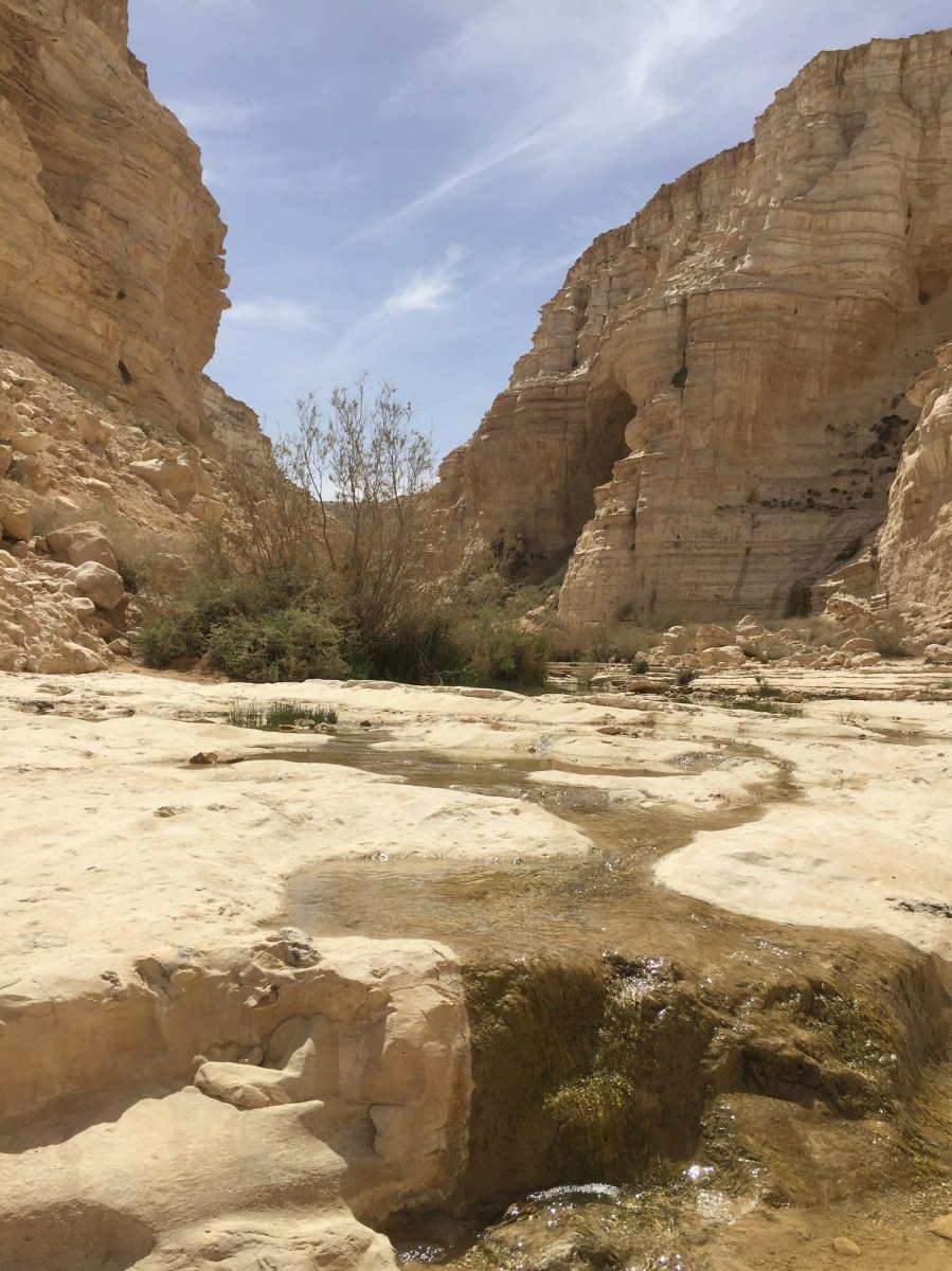 上图：在以色列南地寻的旷野（Zin Valley），方圆几十公里只有这一条小溪（Ein Avdat）。生活在环境宜人、水源丰富的地区，我们很难理解溪水的宝贵和令人渴慕，只有经历过干旱与炎热，才能理解诗人所说的：「神啊，我的心切慕祢，如鹿切慕溪水」（诗四十二1）！