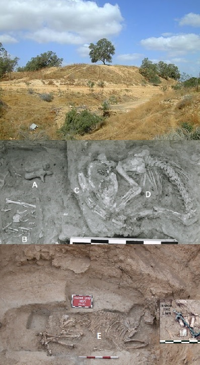 上图：基拉耳遗址Tel Haror。基拉耳是靠近南地西北边缘最大的古代城市之一，位于别是巴西北Nahal Gerar河谷附近。从Tel Haror的基拉耳遗址寺庙里挖掘出了青铜时代中期（主前1800-1550年）被献祭的动物骸骨，这正是亚伯拉罕、以撒、雅各的时代。上图中间的A是粘土人偶，B是乌鸦，C是牛牙，D是小狗，E是口衔铜嚼的驴。这些祭物的脖子都已被拧断或打折，证实了摩西五经中提到的做法（出三十四20；利五8）。